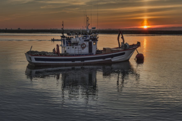 Fishermen as collateral