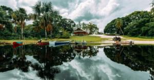 Amerindian Land Rights